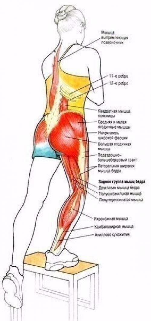 Работаем над низом? 09