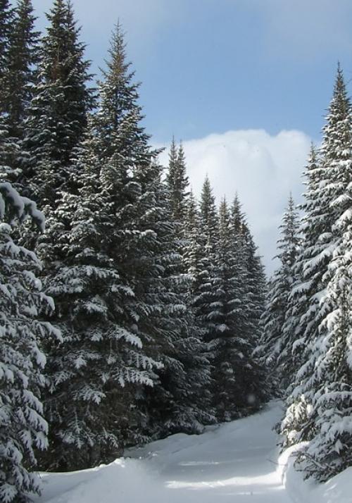 Доброе утро. Я настрой себе нашла, чтобы быть везучей: 04