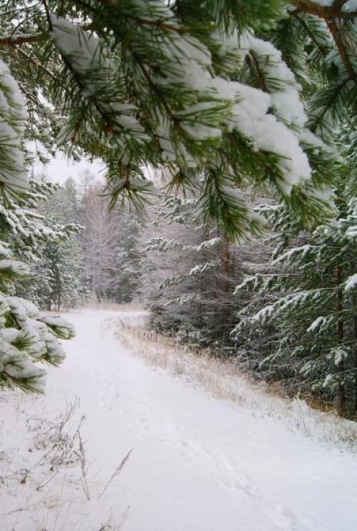 Доброе утро. Я настрой себе нашла, чтобы быть везучей: 03