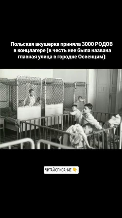 1. польская акушерка Станислава лещинская попала в освенцим в 1943. 01