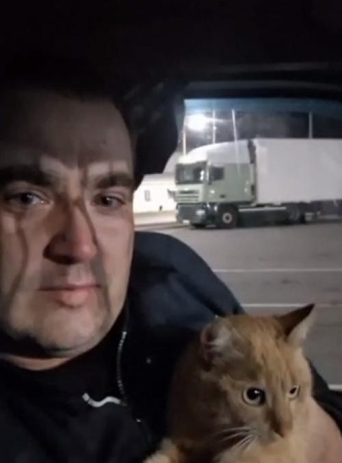 Эпизод 737.  Путешествие за котом.
