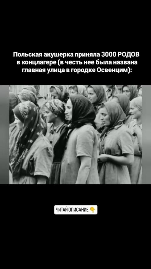 1. польская акушерка Станислава лещинская попала в освенцим в 1943. 02