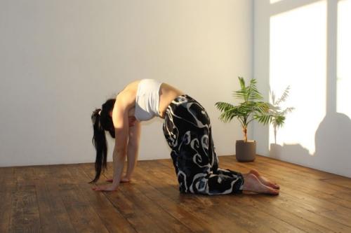 Прогресс в йоге. В том случае, если вы только пришли на практику - начало положено, поздравляю. 08 Прогресс в йоге. В том случае, если вы только пришли на практику - начало положено, поздравляю. 08