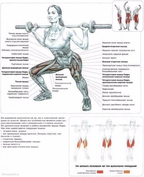 Лучшие упражнения для ягодиц? 01