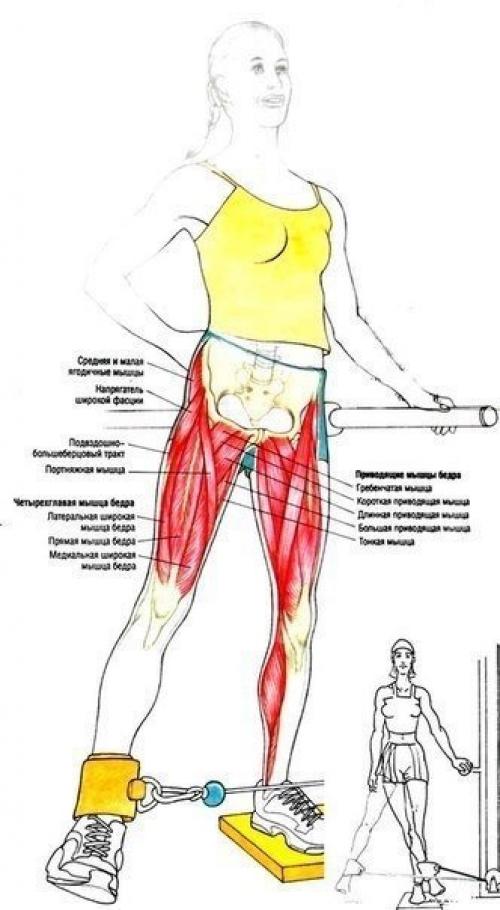 Полная прокачка ног и ягодиц в тренажерном зале! 09