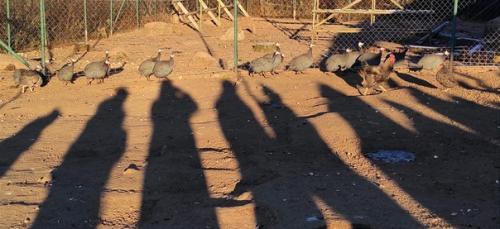 Последствия ковида.  Все мы помним, как это было. 04