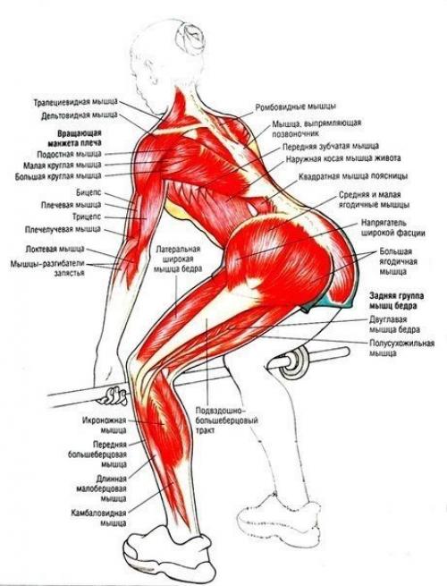 Полная прокачка ног и ягодиц в тренажерном зале! 01