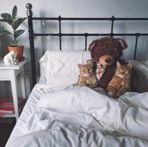 - как вы к ночной жизни относитесь? 02