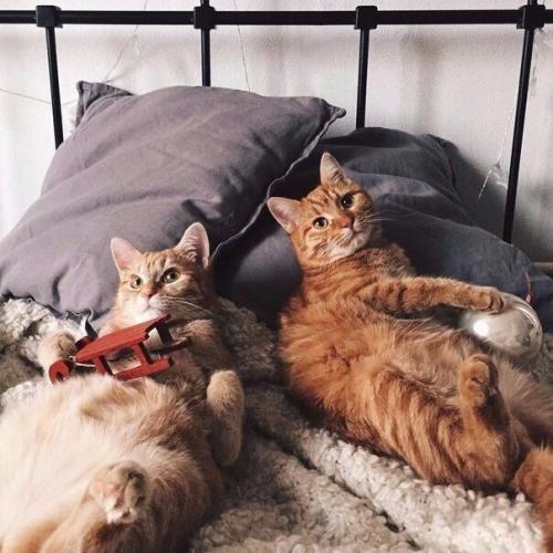 - как вы к ночной жизни относитесь? 04