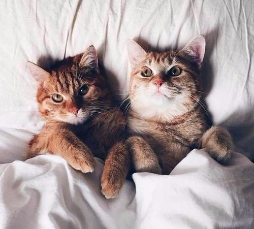 - как вы к ночной жизни относитесь? 01