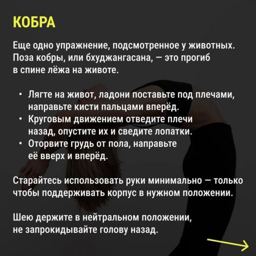Плохая осанка - это не только некрасиво, но и вредно для здоровья. 03