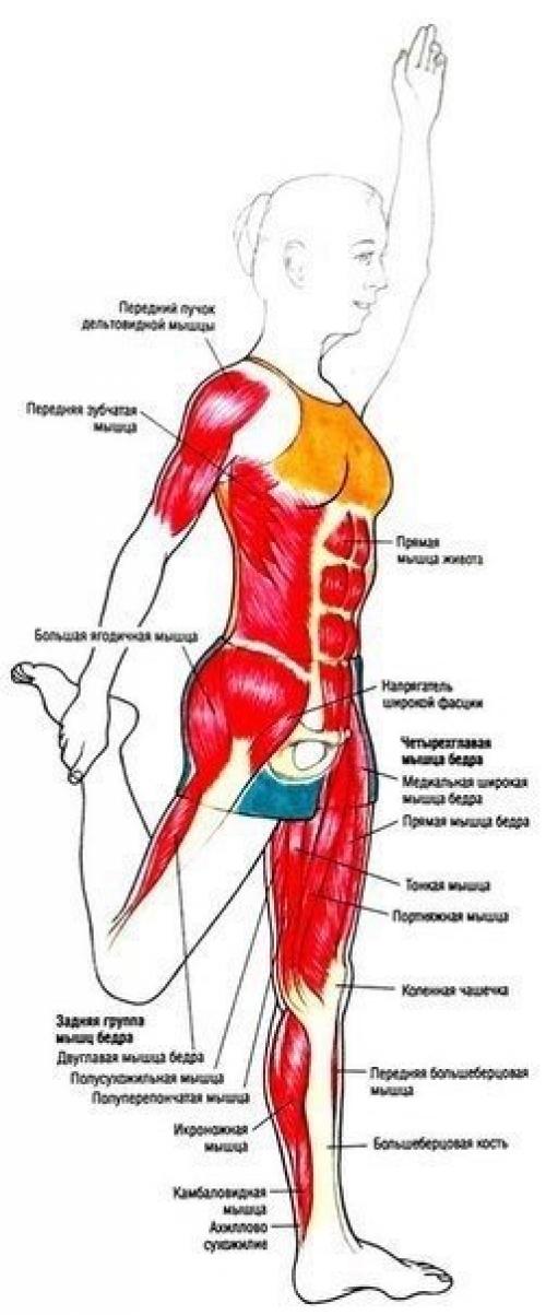 Полная прокачка ног и ягодиц в тренажерном зале! 08