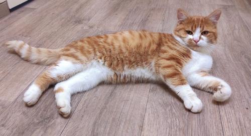 Последствия ковида.  Все мы помним, как это было. 07