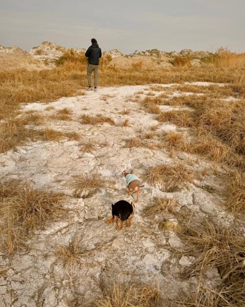 На пешие прогулки подсели. 04