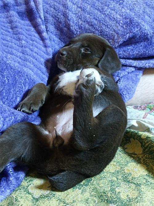 В детстве я эстафеты и всякое командное ненавидела. 04