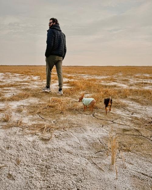 На пешие прогулки подсели. 03