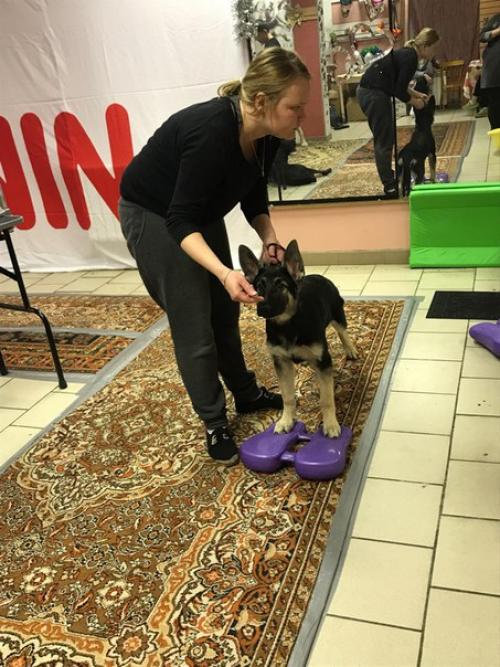 Как развить наблюдательность. 06 Как развить наблюдательность. 06