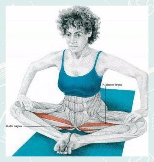 Fitness Life - с нами сможешь. 05