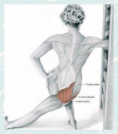 Fitness Life - с нами сможешь. 07