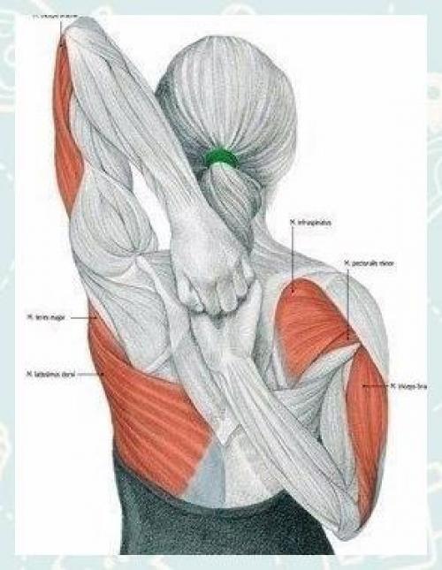 Fitness Life - с нами сможешь. 09