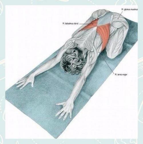 Fitness Life - с нами сможешь. 01