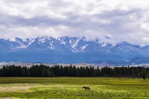 Хочу немножко написать про борьбу со страхами. 04 Хочу немножко написать про борьбу со страхами. 04
