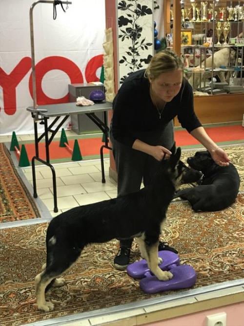 Как развить наблюдательность. 02 Как развить наблюдательность. 02