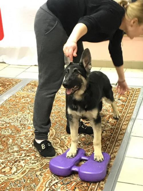 Как развить наблюдательность. 07 Как развить наблюдательность. 07