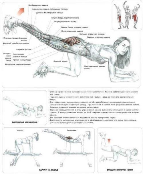 Девушки, специально для вас лучшие упражнения на ягодицы, икры, бедра! 01