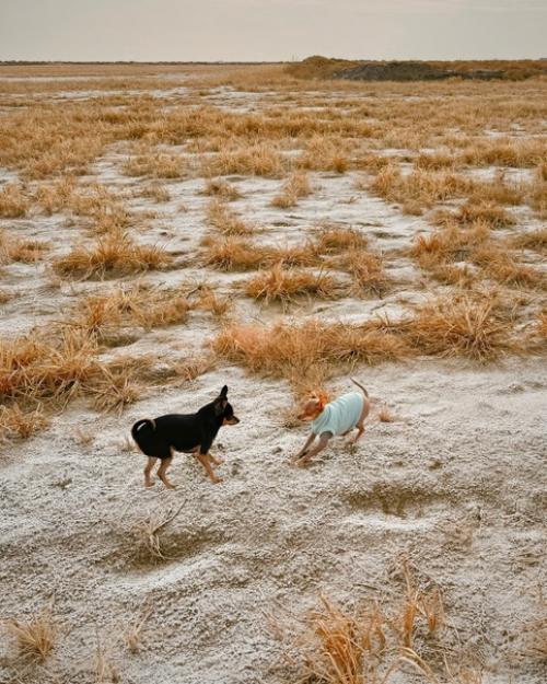 На пешие прогулки подсели. 05