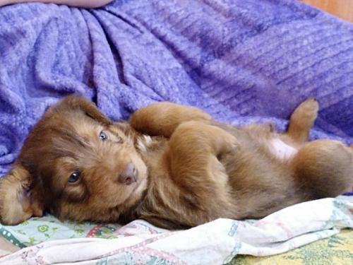 В детстве я эстафеты и всякое командное ненавидела. 02