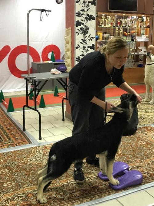 Как развить наблюдательность. 05 Как развить наблюдательность. 05