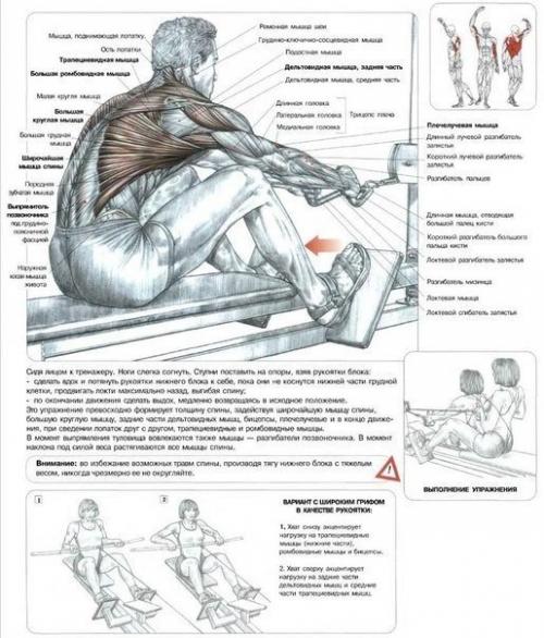 Упражнения для широкой и сильной спины. 07 Упражнения для широкой и сильной спины. 07