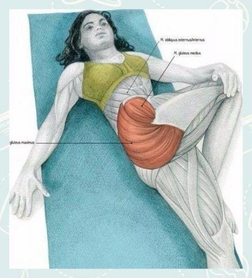 Fitness Life - с нами сможешь. 04