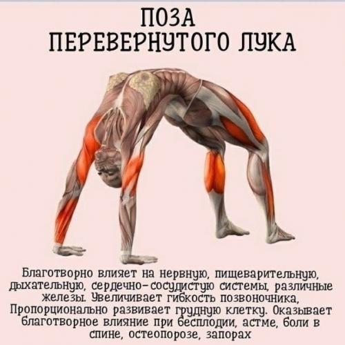 Лучшая йога для твоего тела! 01