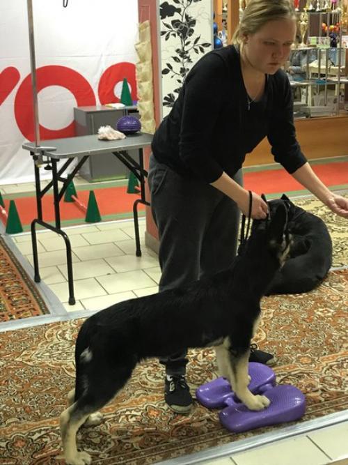 Как развить наблюдательность. 03 Как развить наблюдательность. 03