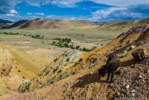 Хочу немножко написать про борьбу со страхами. 03 Хочу немножко написать про борьбу со страхами. 03