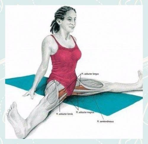 Fitness Life - с нами сможешь. 02