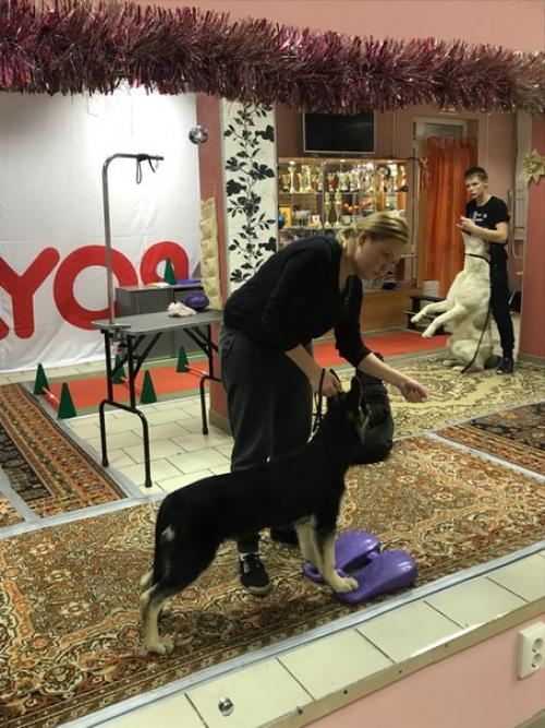 Как развить наблюдательность. 04 Как развить наблюдательность. 04