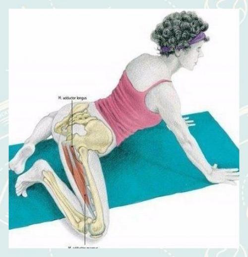 Fitness Life - с нами сможешь. 08