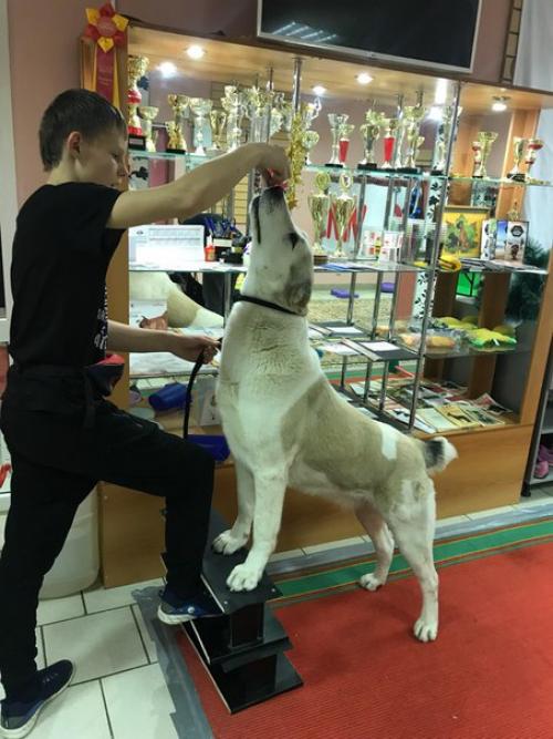 Как развить наблюдательность. 01 Как развить наблюдательность. 01