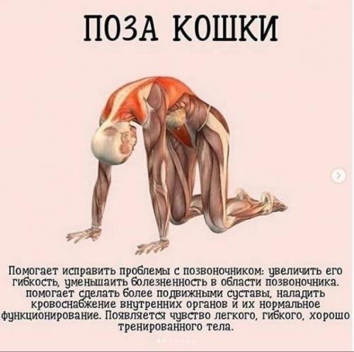 Лучшая йога для твоего тела! 04