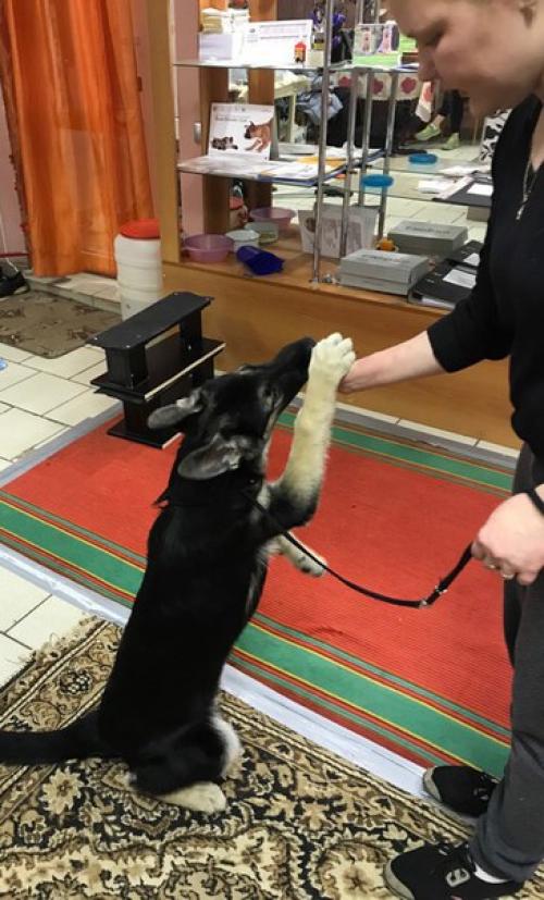 Как развить наблюдательность. 08 Как развить наблюдательность. 08