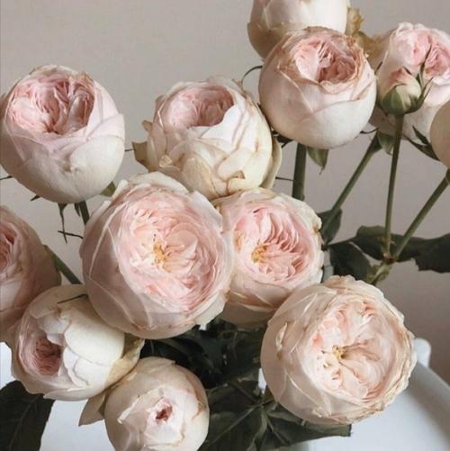 waq_Motivation.  10 заповедей счастливой женщины. 02 waq_Motivation.  10 заповедей счастливой женщины. 02