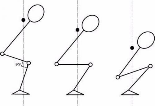 Анатомия приседаний. Изучай, иначе капец твоим коленям. 06 Анатомия приседаний. Изучай, иначе капец твоим коленям. 06