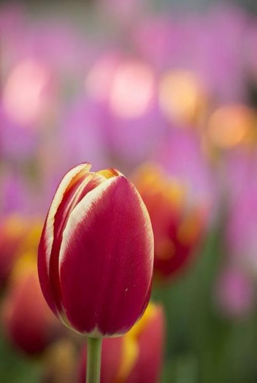 Доброе утро. Не откладывайте счастье на потом. 01