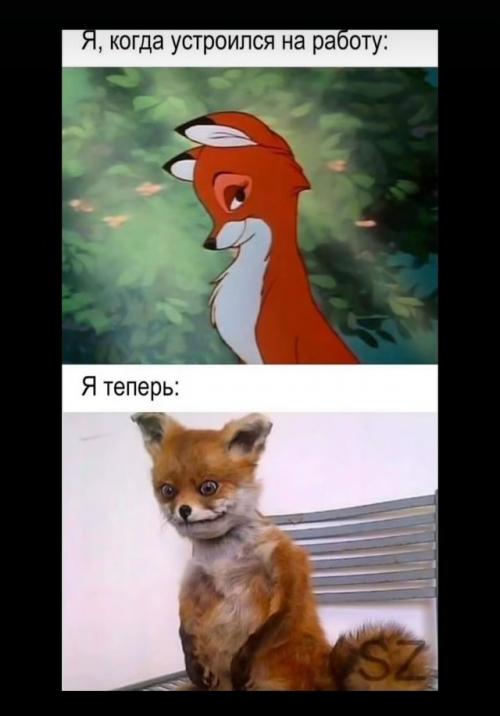 3 рабочих дня я еще учитель физической культуры.  