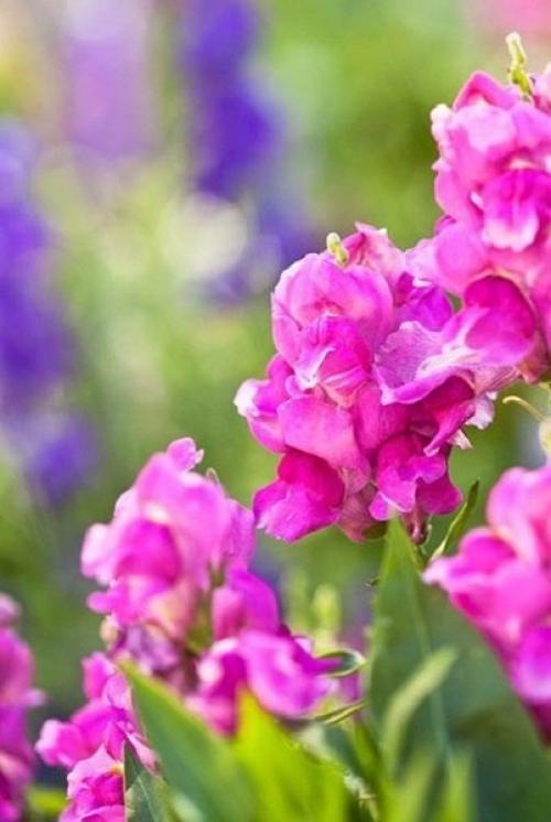 Доброе утро. Не откладывайте счастье на потом. 03