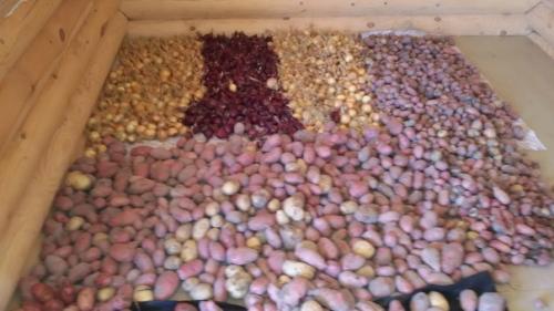 Деревня. Часть 8. 03 Деревня. Часть 8. 03