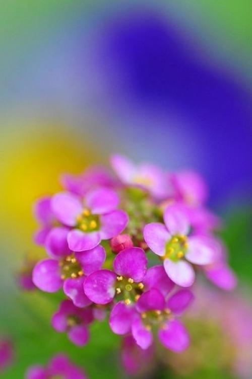 Доброе утро. Не откладывайте счастье на потом. 02